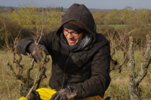 monastere_gairire_service-laic-vigne.jpg